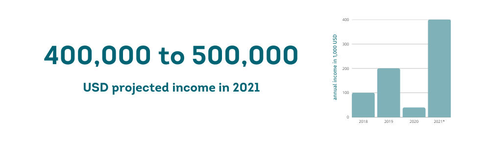 400,000 to 500,000 USD revenue in 2021