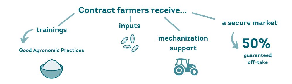 benefits for contarct farmers