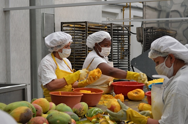 women processing fruit