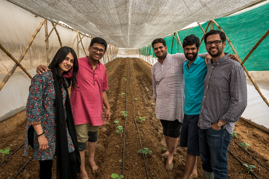 founding team of Kheyti standing in a greenhouse