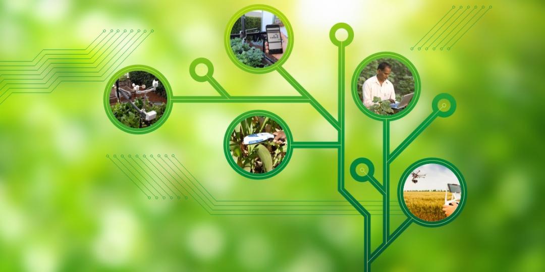 ICT in agriculture