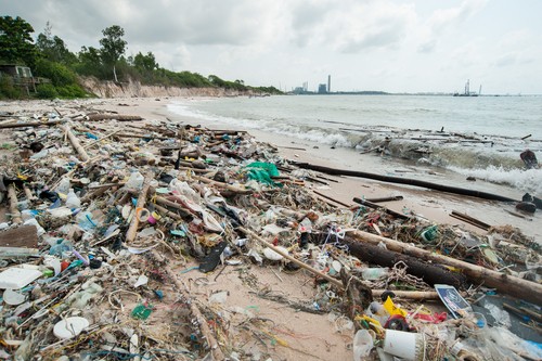 Plastic Waste at beach