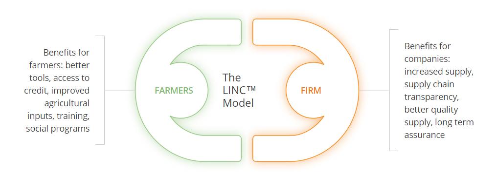 the LINC model