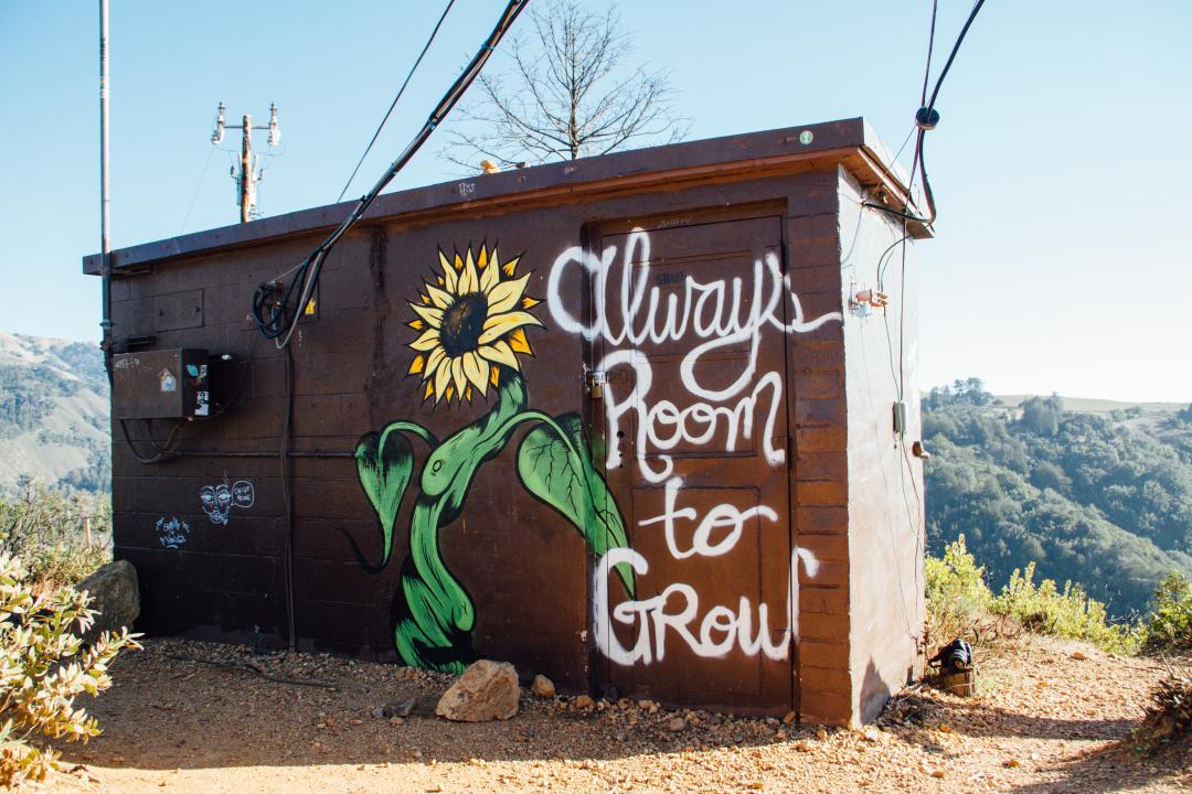 There's room for growth in Inclusive Business. Image by Kyle Glenn
