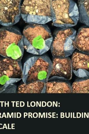 Webinar with Ted London