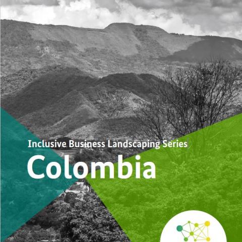 Inclusive Business Landscaping Series: Colombia