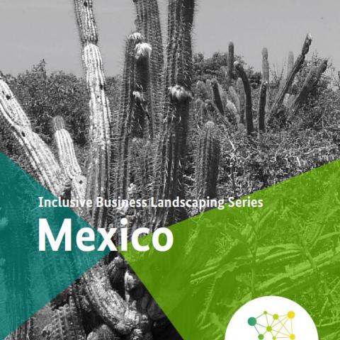 Inclusive Business Landscaping Series: Mexico