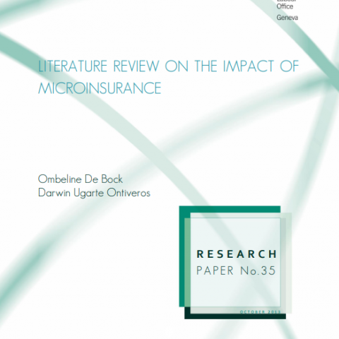 Literature review on the impact of microinsurance