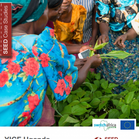 YICE Uganda. Improving access to training, funding, and markets for rural farmers. SEED Case Study Series. 