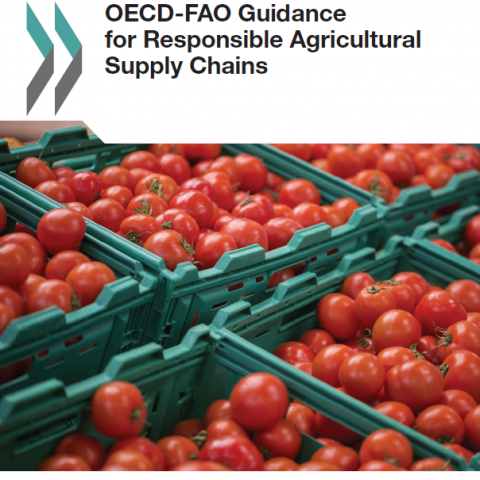 OECD-FAO Guidance for Responsible Agricultural Supply Chains Cover