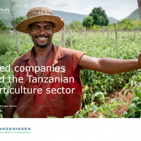 Seed companies and the Tanzanian horticulture sector