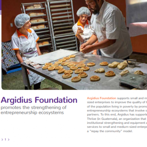 case study Argidius Foundation