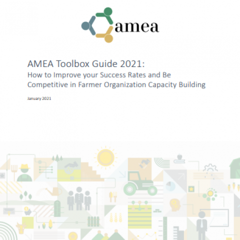 AMEA Toolbox Guide 2021