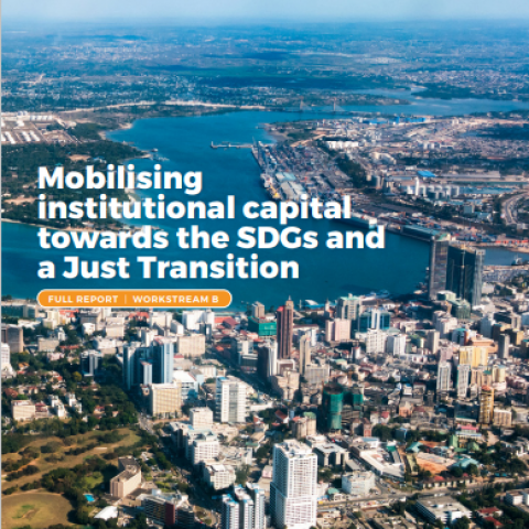 Mobilising  institutional capital  towards the SDGs and a Just Transition